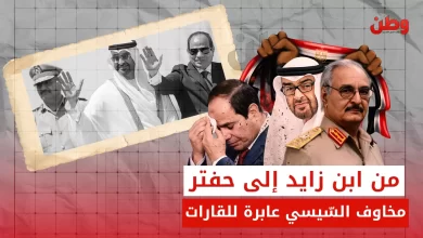 مخاوف السيسي بعد سقوط الأسد