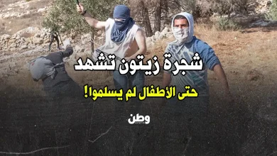 جرائم المستوطنين في الضفة الغربية