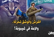هجوم سمكة قرش على إسرائيلي